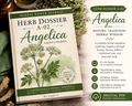 Herb Dossier A-02: Angelica Herbal Manifesto (Digital PDF)