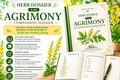 Herb Dossier A-01: Agrimony Herbal Manifesto (Digital PDF)